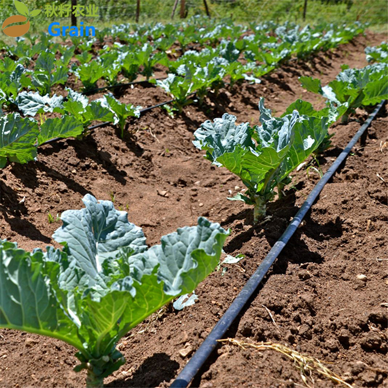 Flat Emitter Drip Irrigation Tape