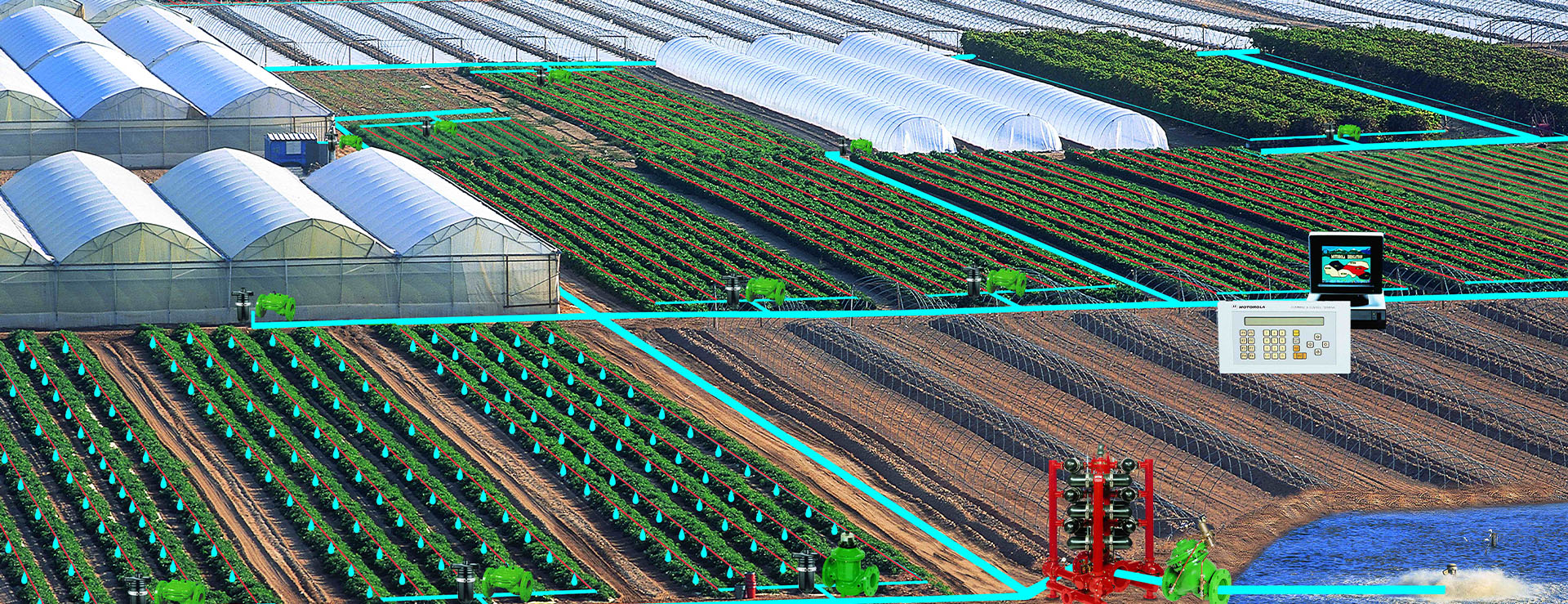 drip irrigation system