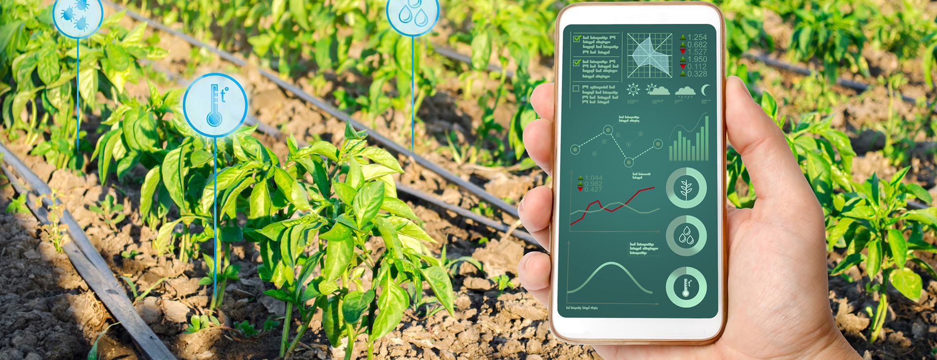 smart irrigation system