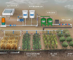 Precision Irrigation