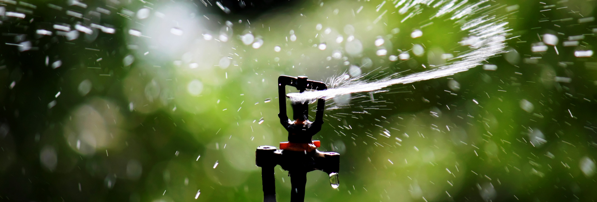 spray irrigation system
