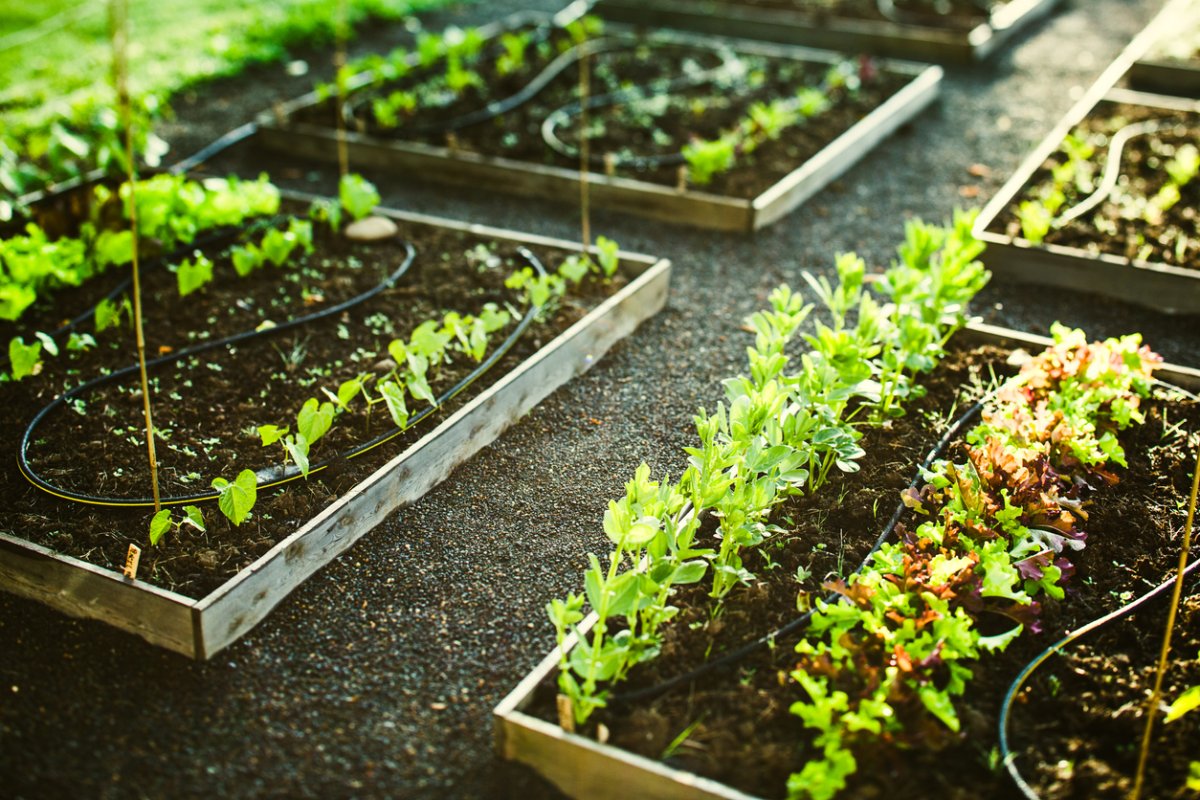 Garden Irrigation System