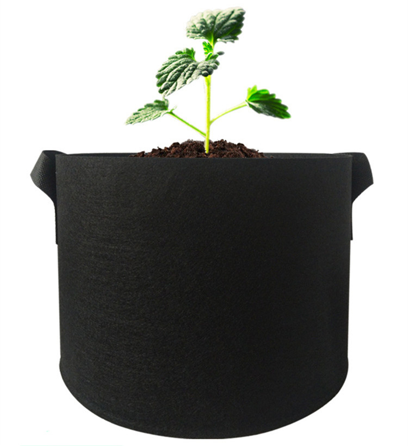 <b>Growing Bag</b>