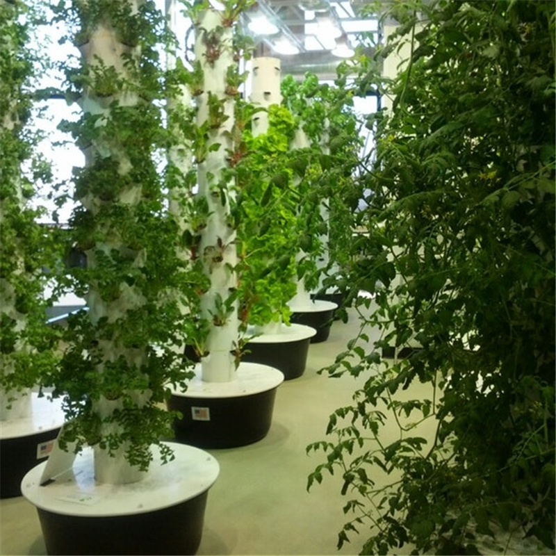 <b>growing tower</b>