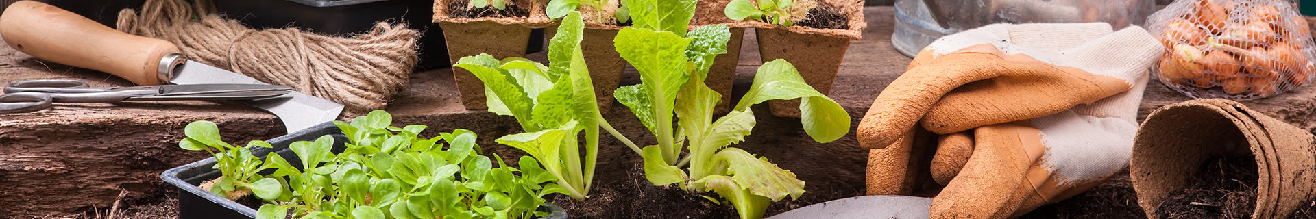 Precision Irrigation 