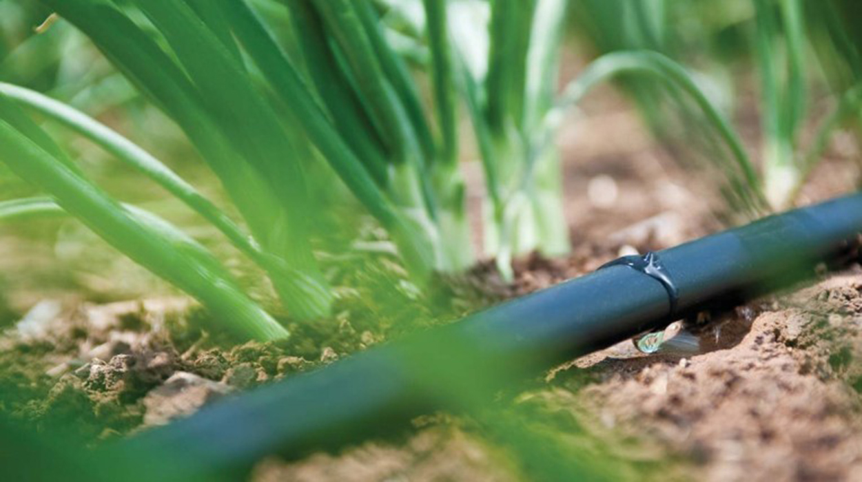  Drip Irrigation Tape