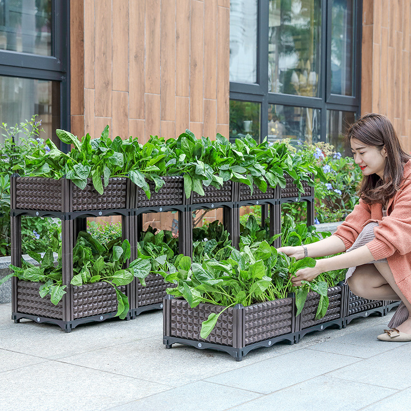 Growing Box