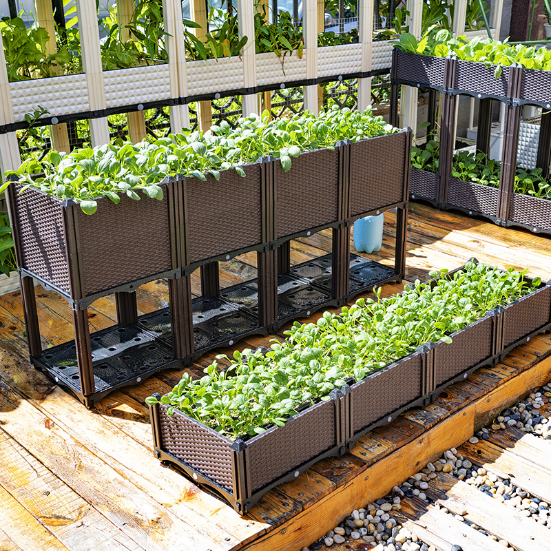 Growing Box