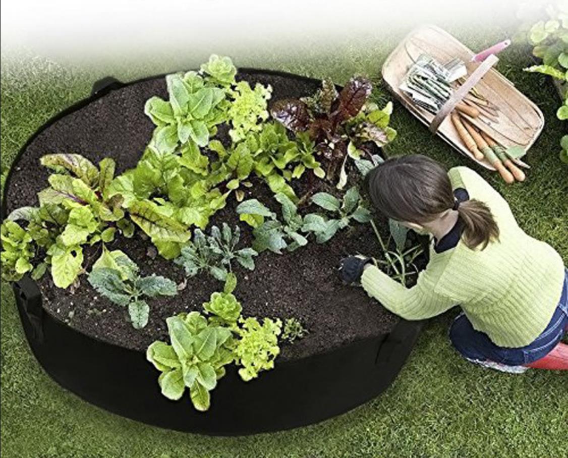 Growing Bag