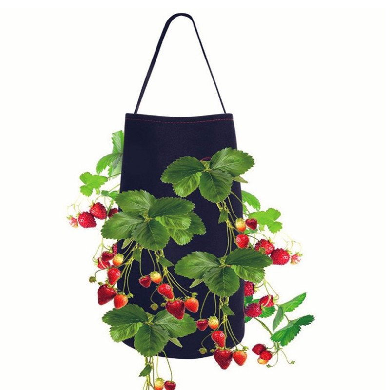 Growing Bag