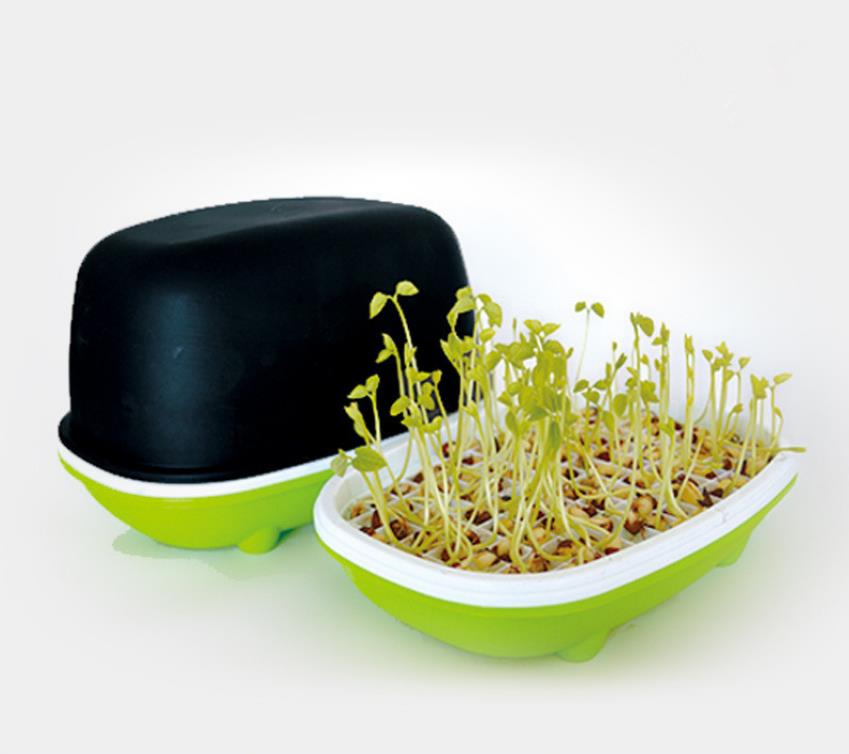 Sprouts plate