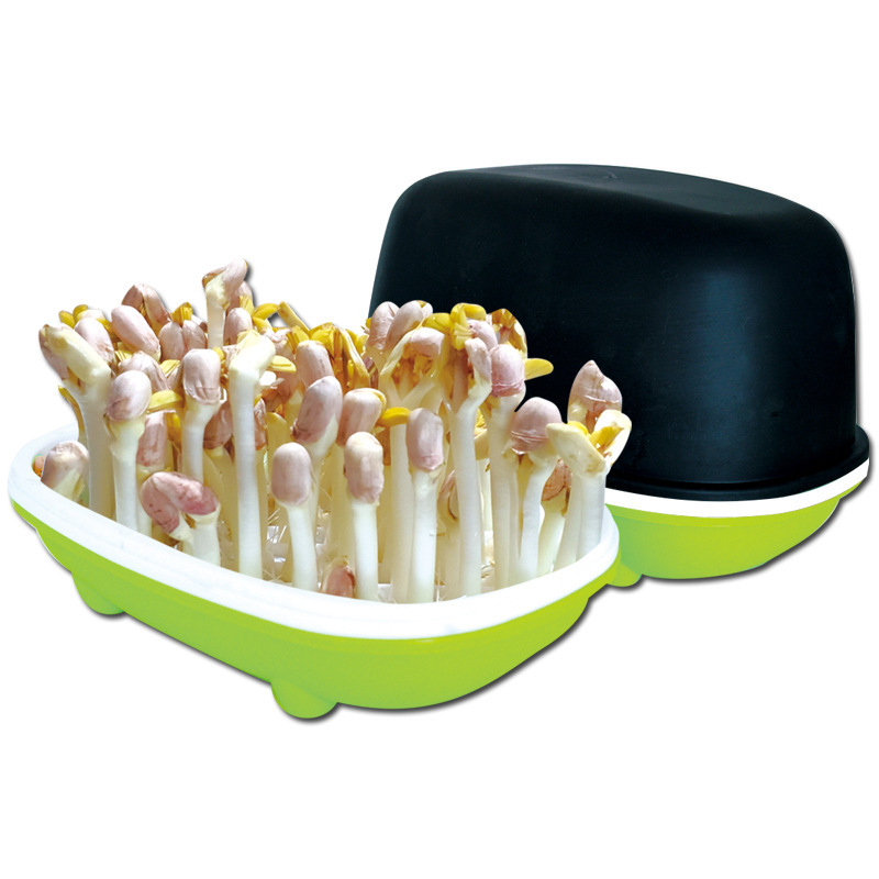 Sprouts plate