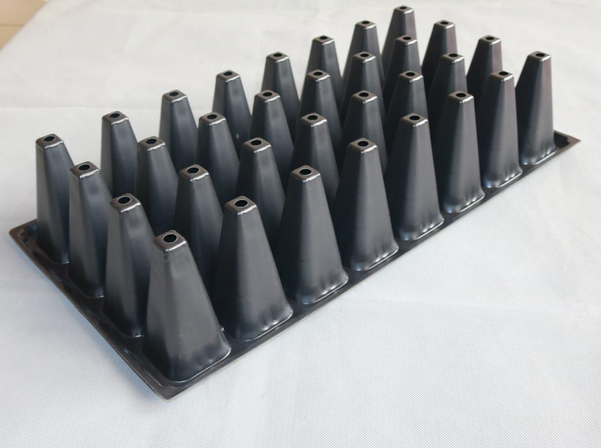 Seeding Tray